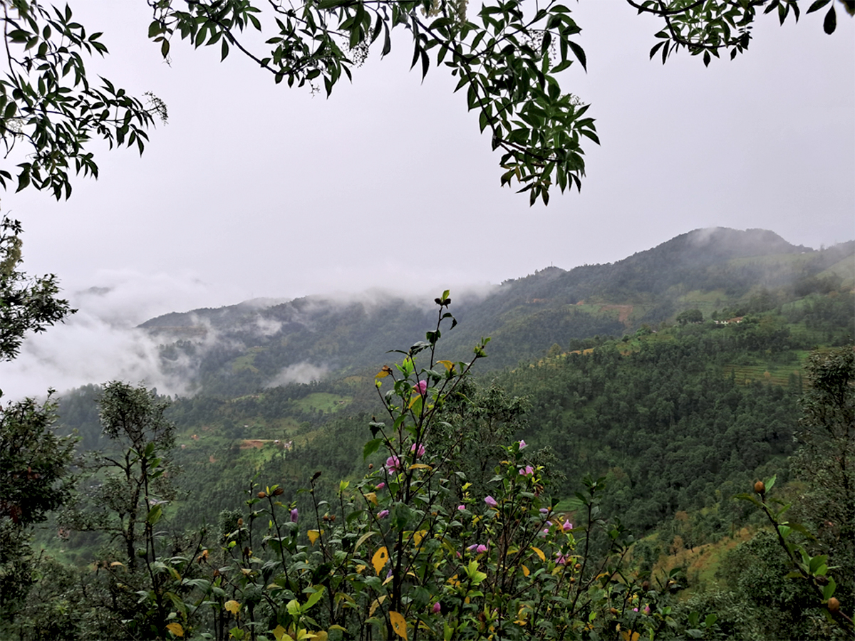 बैतडीः लगातारको वर्षाले जनजीवन  प्रभावित